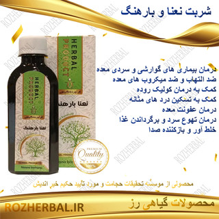 شربت نعنا و بارهنگ 200 میلی لیتر دکتر خیر اندیش