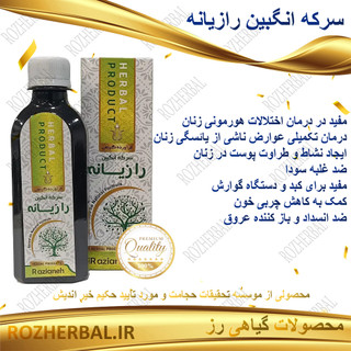 سرکه انگبین رازیانه 200 میلی لیتر دکتر خیر اندیش