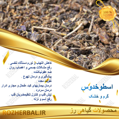 اسطوخدوس خارجی