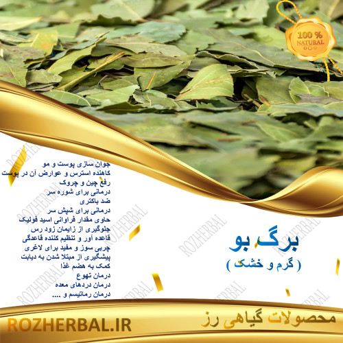 برگ بو