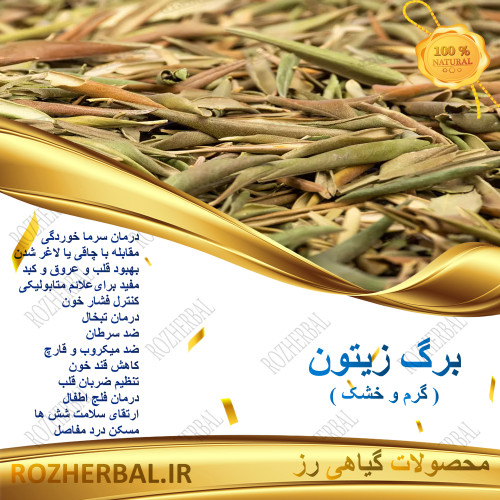 برگ زیتون