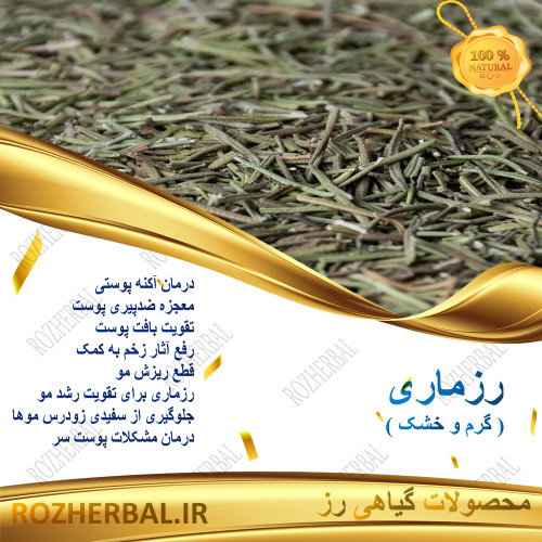 رزماری (اکنیل کوهی)